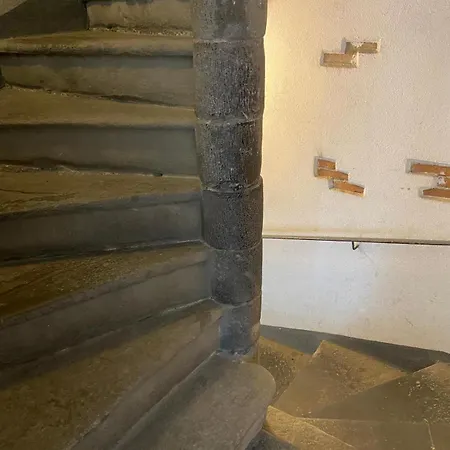 Nido Carrara - Immobili E Soluzioni Rent * Bergamo