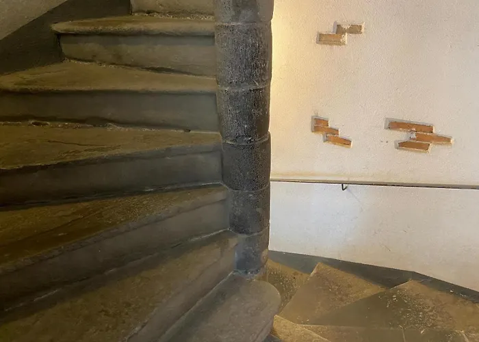 Nido Carrara - Immobili E Soluzioni Rent Bergamo